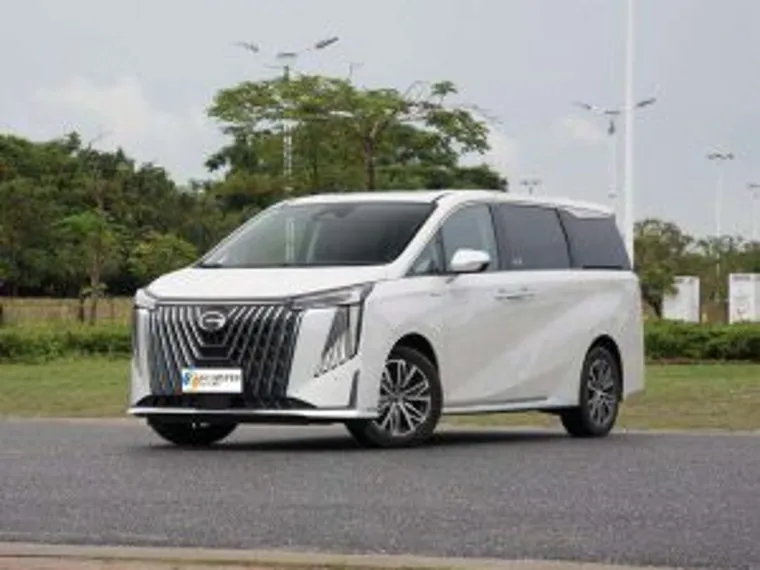 7 Passenger Minivan 2