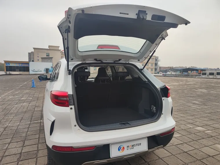 Beijing Weltmeister EX5 2020 3
