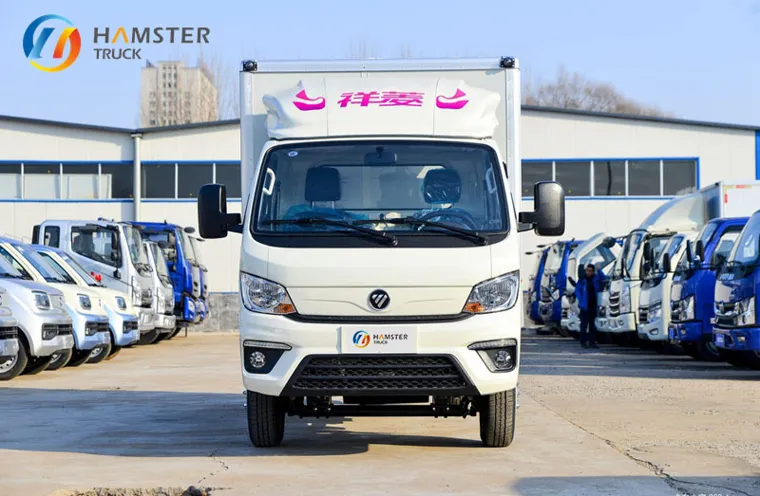 The Foton Xiangling 3