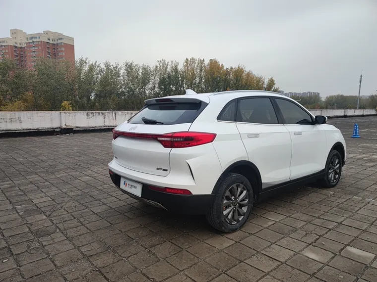 Beijing Weltmeister EX5 2020 5