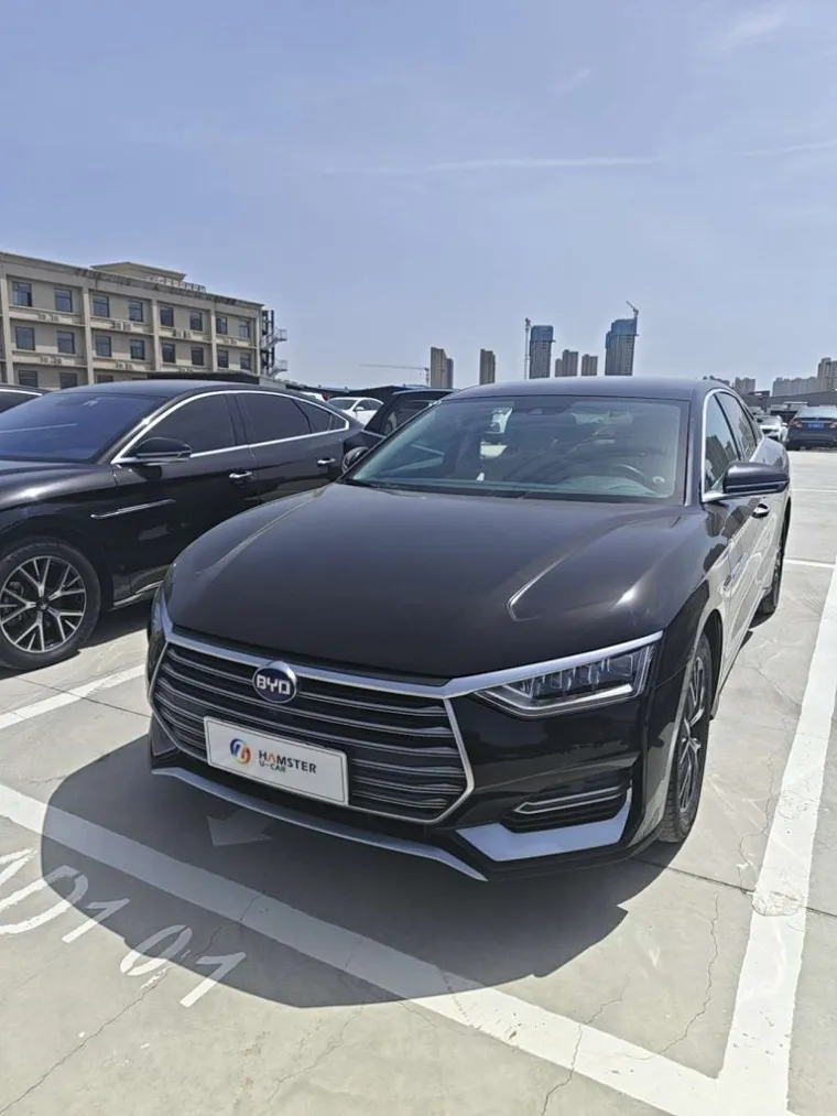 BYD E9 2