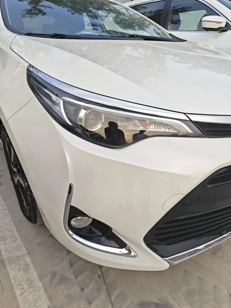 BYD SUVs 2