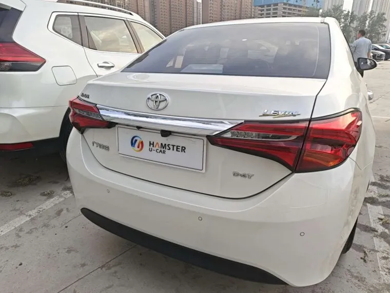 BYD SUVs 5