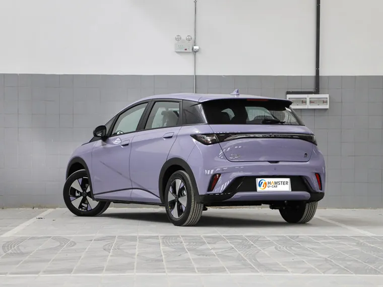 BYD Haitun Dolphin 4