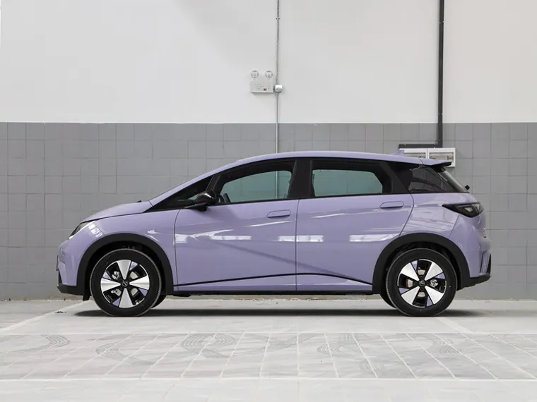 BYD Haitun Dolphin 6