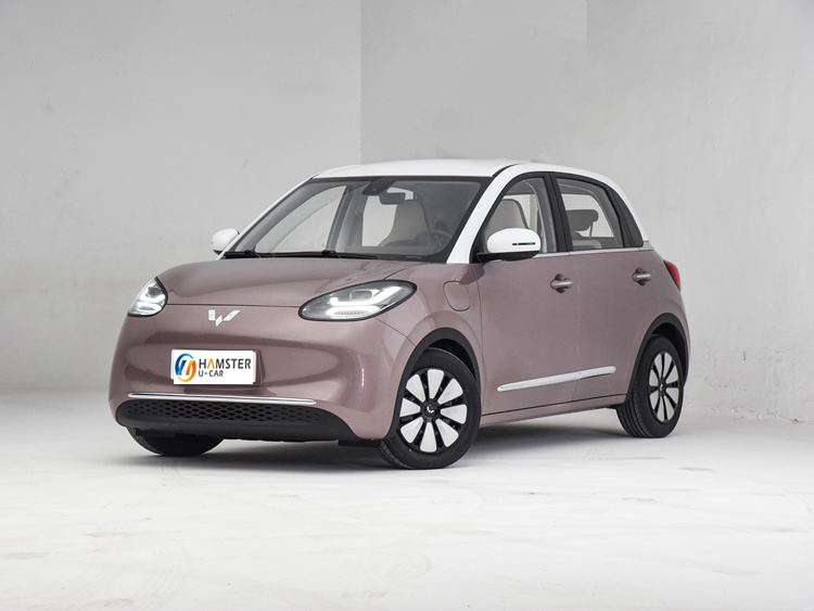 Wuling launch bingo 2023