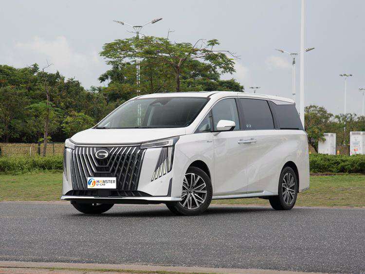 7 Passenger Minivan
