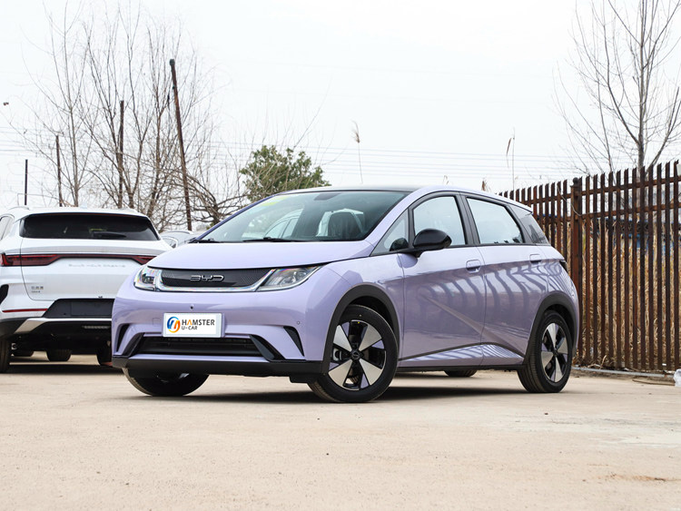 BYD Haitun Dolphin