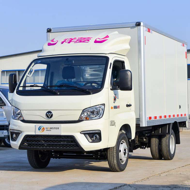 The Foton Xiangling
