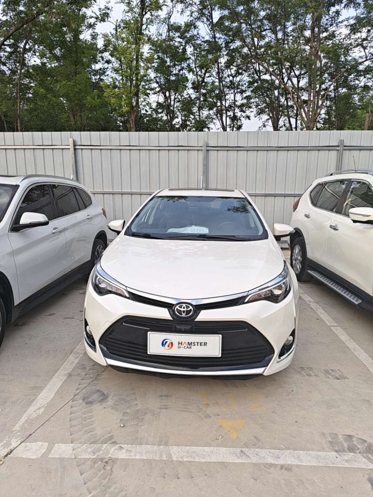 BYD SUVs