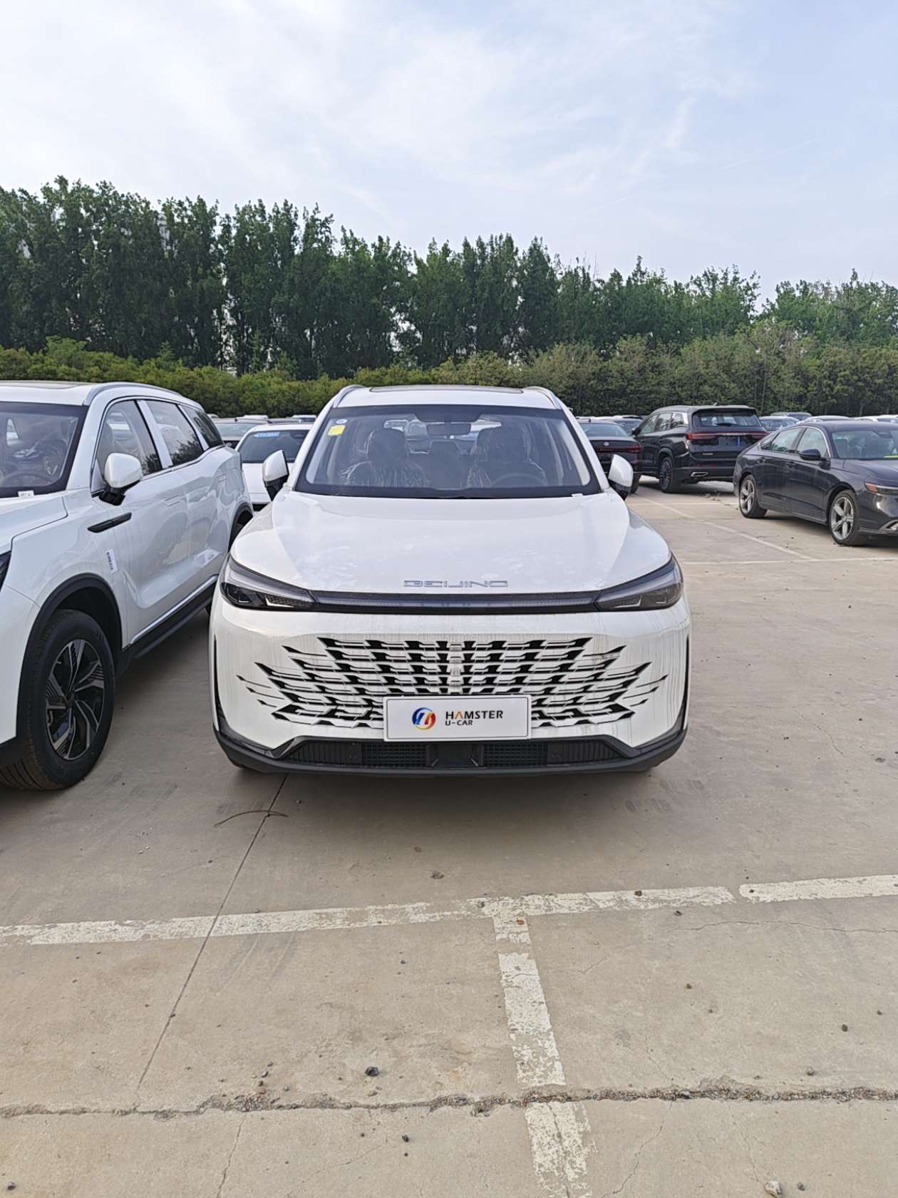 Beijing X7